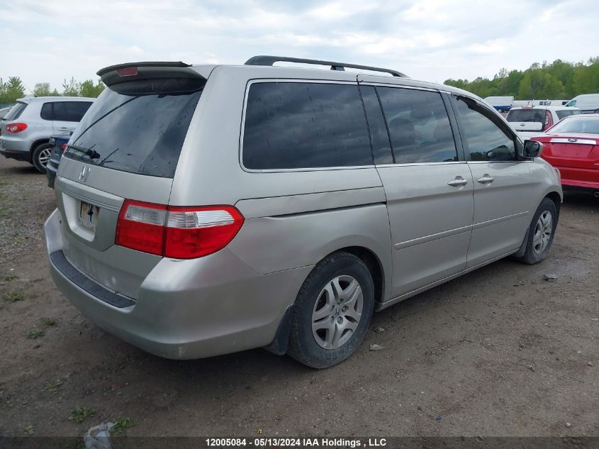 2006 Honda Odyssey Ex-L VIN: 5FNRL38616B501630 Lot: 12005084