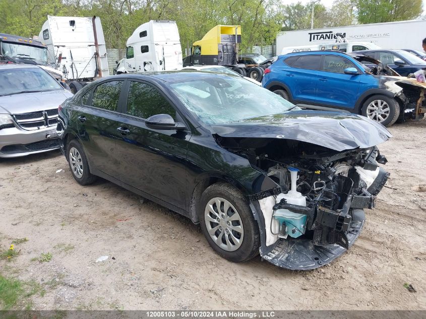 2022 Kia Forte VIN: 3KPF24AD7NE515217 Lot: 12005103