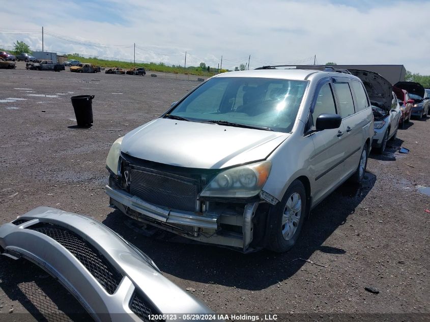 2009 Honda Odyssey Dx VIN: 5FNRL38119B503984 Lot: 12005123