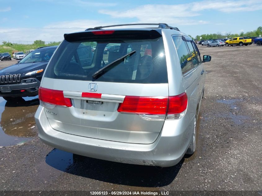 2009 Honda Odyssey Dx VIN: 5FNRL38119B503984 Lot: 12005123