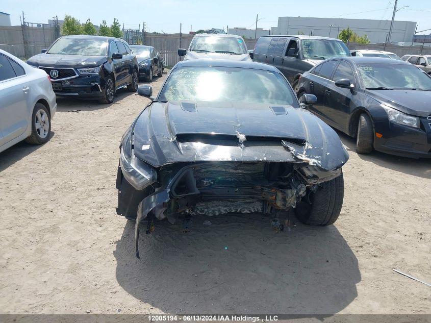 2016 Ford Mustang VIN: 1FA6P8AM1G5313700 Lot: 12005194