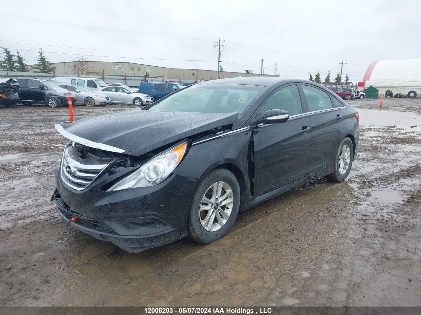 2014 Hyundai Sonata Gls VIN: 5NPEB4AC5EH896175 Lot: 12005203