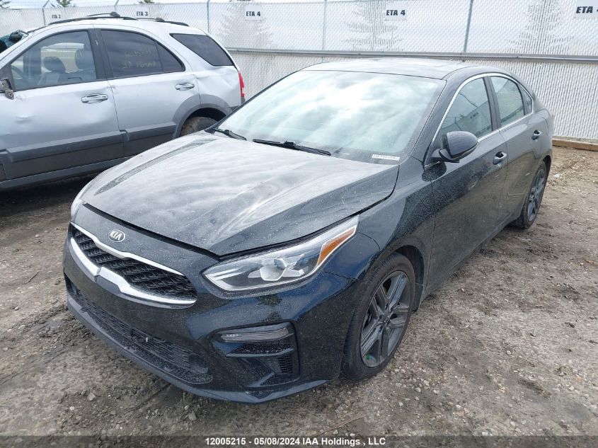 2021 Kia Forte VIN: 3KPF54AD7ME282624 Lot: 12005215