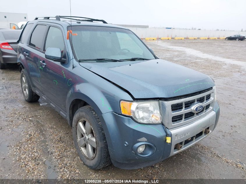 2010 Ford Escape Limited VIN: 1FMCU9EG4AKA84661 Lot: 12005238