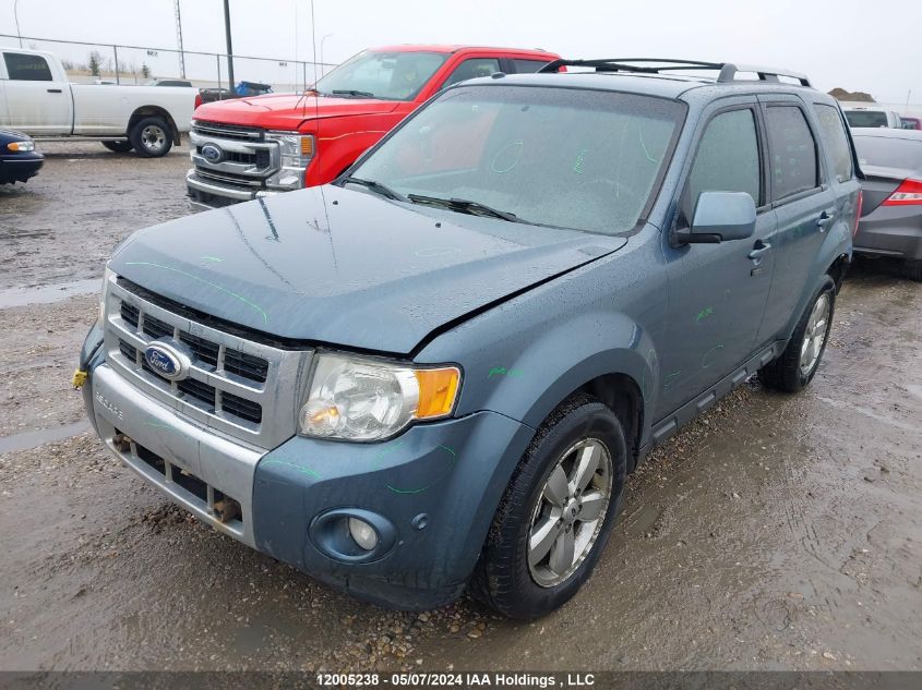 2010 Ford Escape Limited VIN: 1FMCU9EG4AKA84661 Lot: 12005238