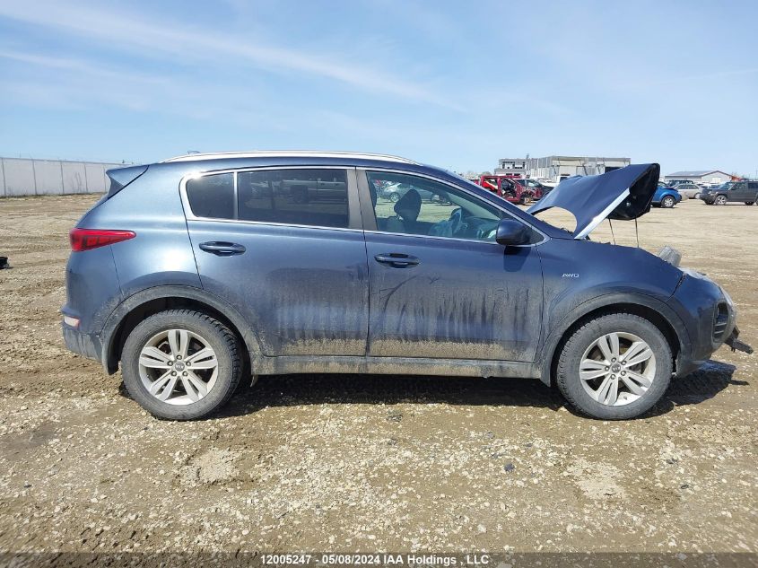 2017 Kia Sportage VIN: KNDPMCAC1H7126237 Lot: 12005247