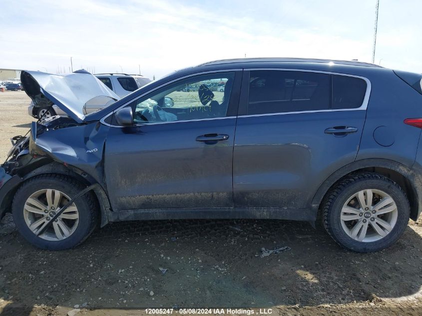 2017 Kia Sportage VIN: KNDPMCAC1H7126237 Lot: 12005247
