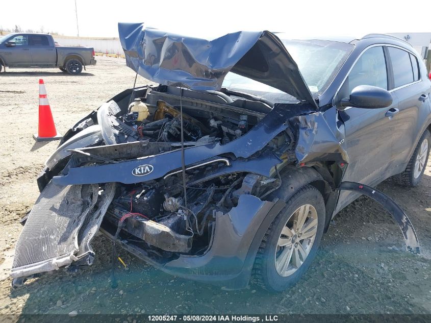 2017 Kia Sportage VIN: KNDPMCAC1H7126237 Lot: 12005247
