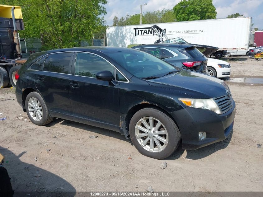 2009 Toyota Venza VIN: 4T3ZE11A19U013919 Lot: 12005273