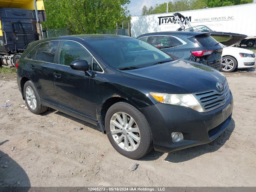 2009 Toyota Venza VIN: 4T3ZE11A19U013919 Lot: 12005273