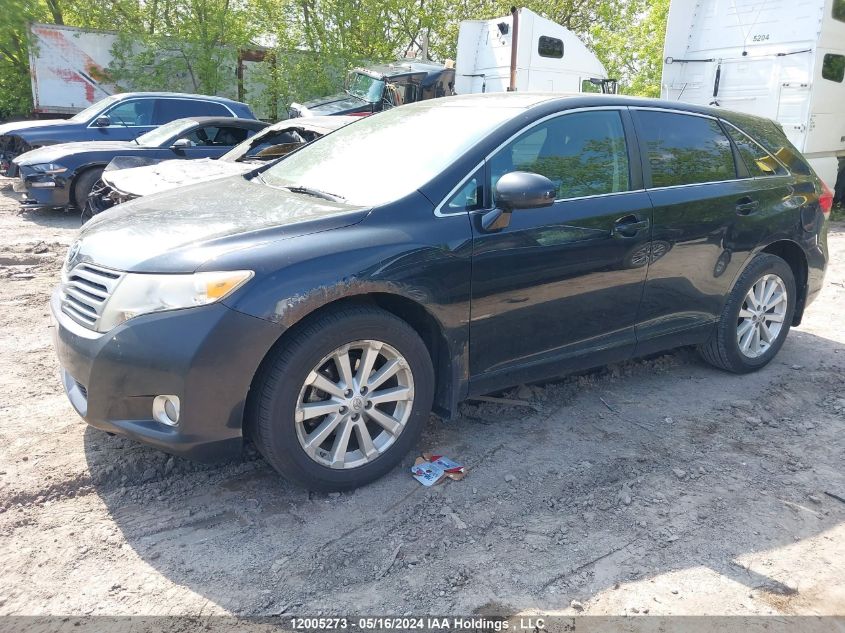 2009 Toyota Venza VIN: 4T3ZE11A19U013919 Lot: 12005273