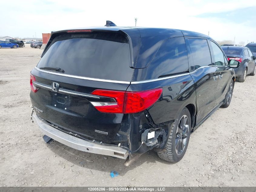 2022 Honda Odyssey VIN: 5FNRL6H89NB500520 Lot: 12005286