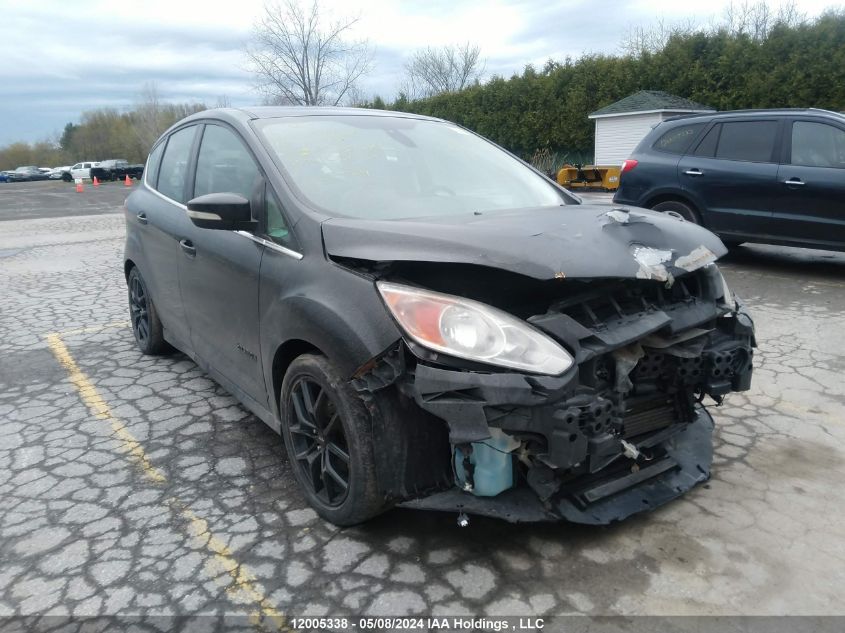 2013 Ford C-Max Sel VIN: 1FADP5BU0DL505010 Lot: 12005338