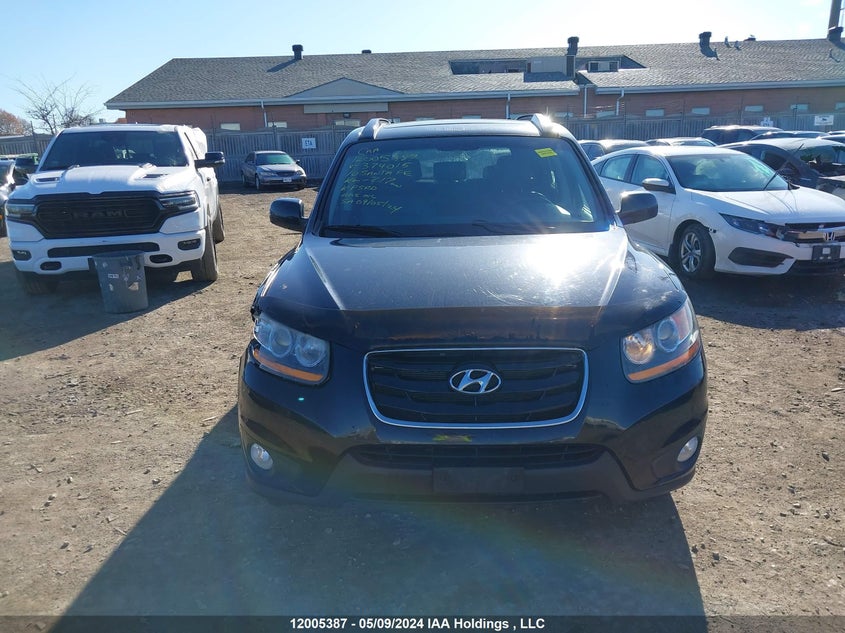 2010 Hyundai Santa Fe Se VIN: 5NMSHDAG9AH374015 Lot: 12005387