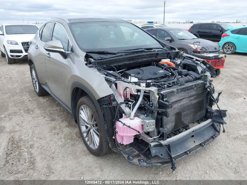 2024 Lexus Nx 350H VIN: 2T2GKCEZ4RC022616 Lot: 12005472