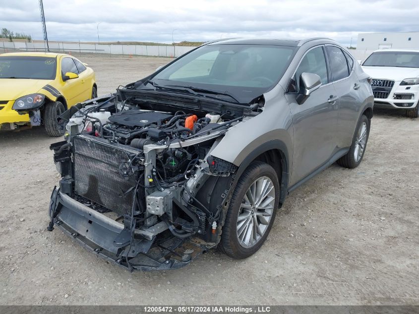 2024 Lexus Nx 350H VIN: 2T2GKCEZ4RC022616 Lot: 12005472