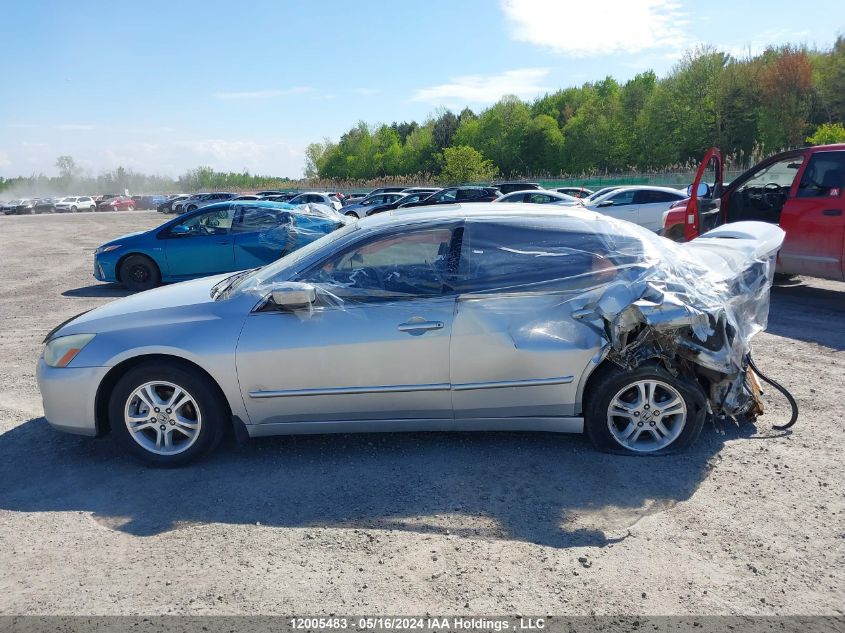 2006 Honda Accord Sdn VIN: 1HGCM55836A800924 Lot: 12005483