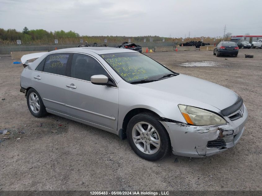 2006 Honda Accord Sdn VIN: 1HGCM55836A800924 Lot: 12005483