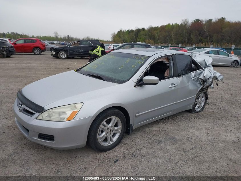 2006 Honda Accord Sdn VIN: 1HGCM55836A800924 Lot: 12005483