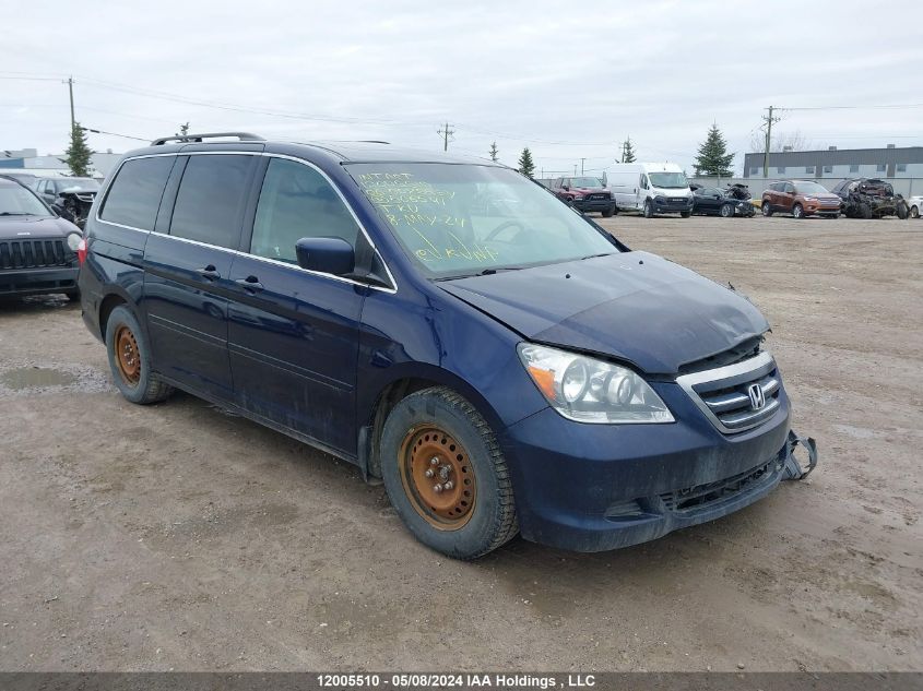 2006 Honda Odyssey VIN: 5FNRL38656B506541 Lot: 12005510