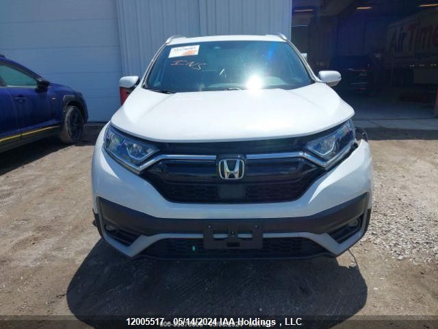 2020 Honda Cr-V VIN: 2HKRW2H43LH208843 Lot: 12005517