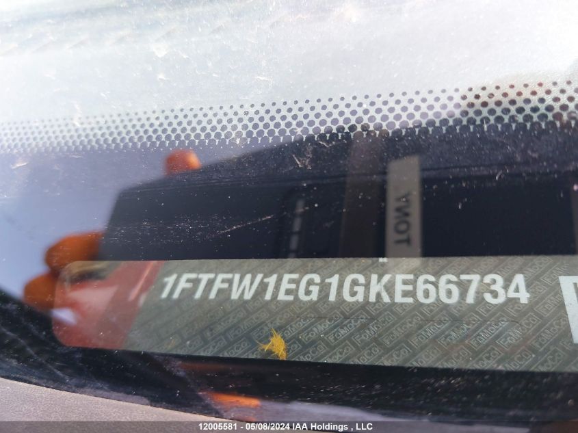 2016 Ford F150 Supercrew VIN: 1FTFW1EG1GKE66734 Lot: 12005581