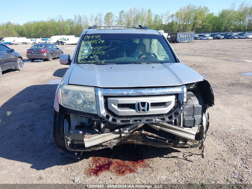 2010 Honda Pilot VIN: 5FNYF4H69AB502865 Lot: 12005589