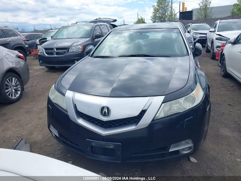 2009 Acura Tl VIN: 19UUA96589A800365 Lot: 12005591