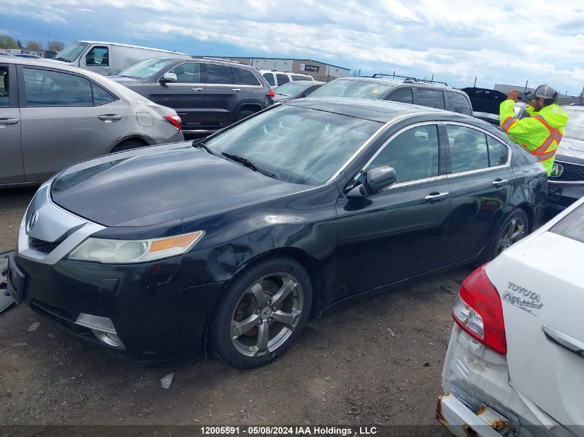 2009 Acura Tl VIN: 19UUA96589A800365 Lot: 12005591