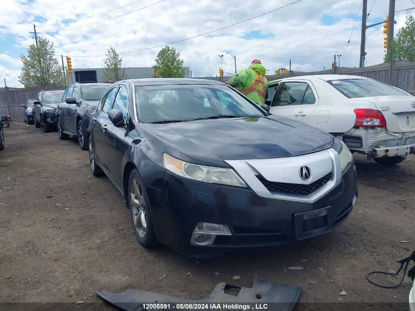 2009 Acura Tl VIN: 19UUA96589A800365 Lot: 12005591