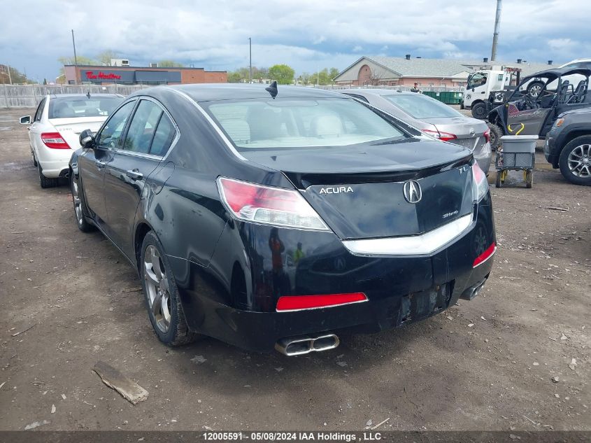 2009 Acura Tl VIN: 19UUA96589A800365 Lot: 12005591