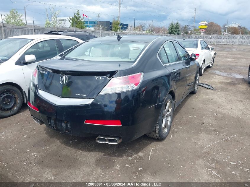 2009 Acura Tl VIN: 19UUA96589A800365 Lot: 12005591