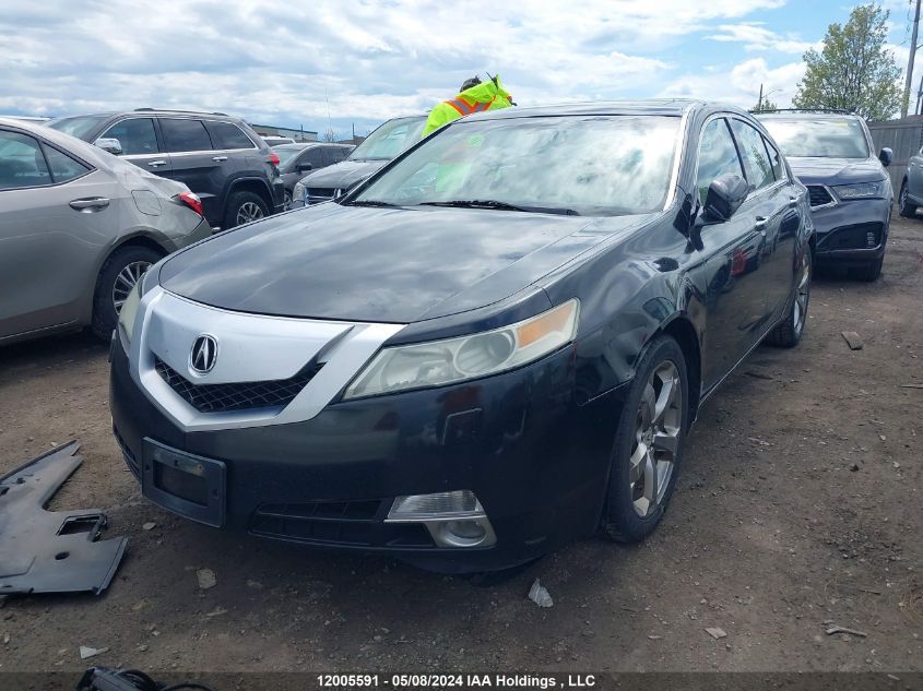 2009 Acura Tl VIN: 19UUA96589A800365 Lot: 12005591