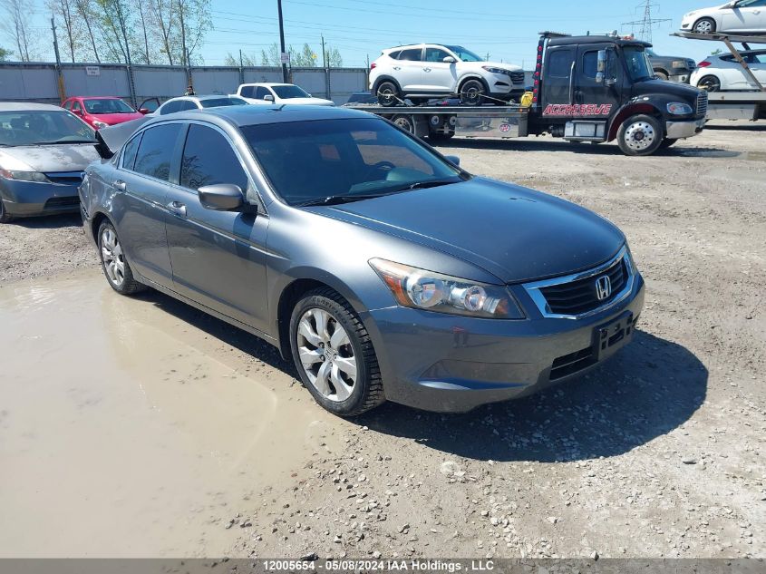 2010 Honda Accord Sedan VIN: 1HGCP2F82AA804900 Lot: 12005654