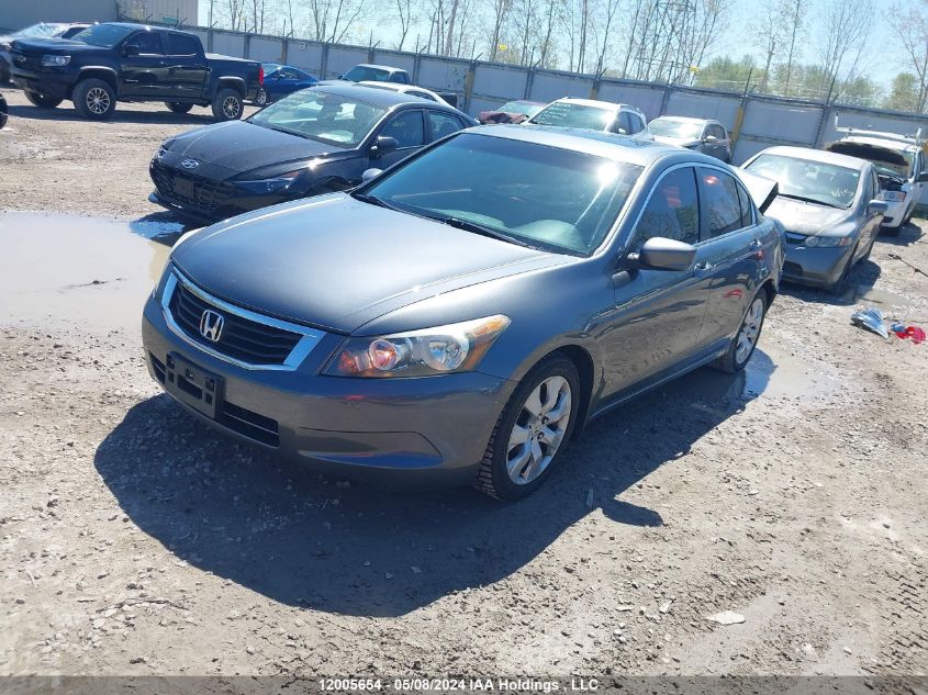 2010 Honda Accord Sedan VIN: 1HGCP2F82AA804900 Lot: 12005654