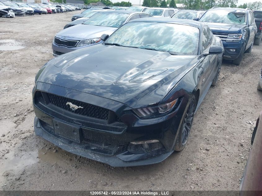 2016 Ford Mustang Gt VIN: 1FA6P8CF6G5207029 Lot: 12005742