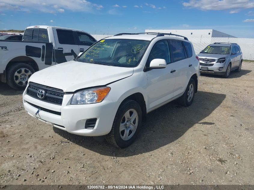 2012 Toyota Rav4 VIN: 2T3BF4DV5CW184467 Lot: 12005782