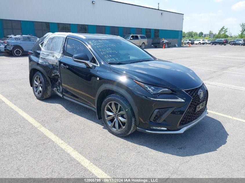 2020 Lexus Nx 300 F-Sport VIN: JTJSARDZ3L5004793 Lot: 12005799