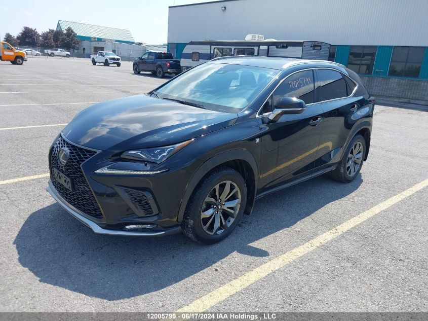 2020 Lexus Nx 300 F-Sport VIN: JTJSARDZ3L5004793 Lot: 12005799