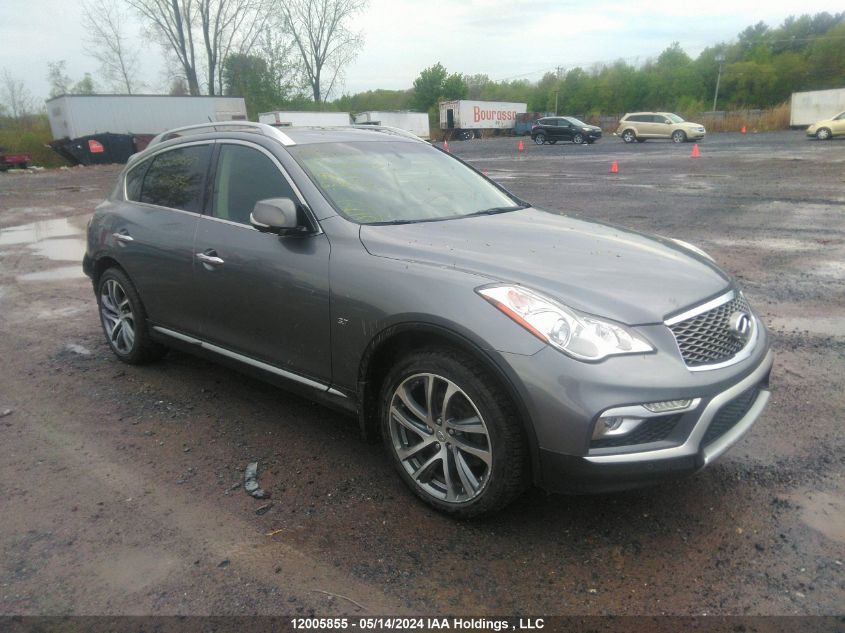 2017 Infiniti Qx50 VIN: JN1BJ0RR3HM405655 Lot: 12005855