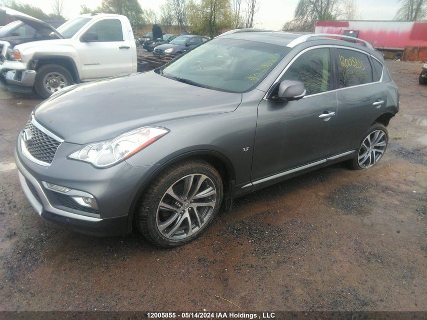 2017 Infiniti Qx50 VIN: JN1BJ0RR3HM405655 Lot: 12005855