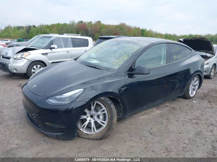 2023 Tesla Model Y VIN: LRWYGDFD2PC967246 Lot: 12005879