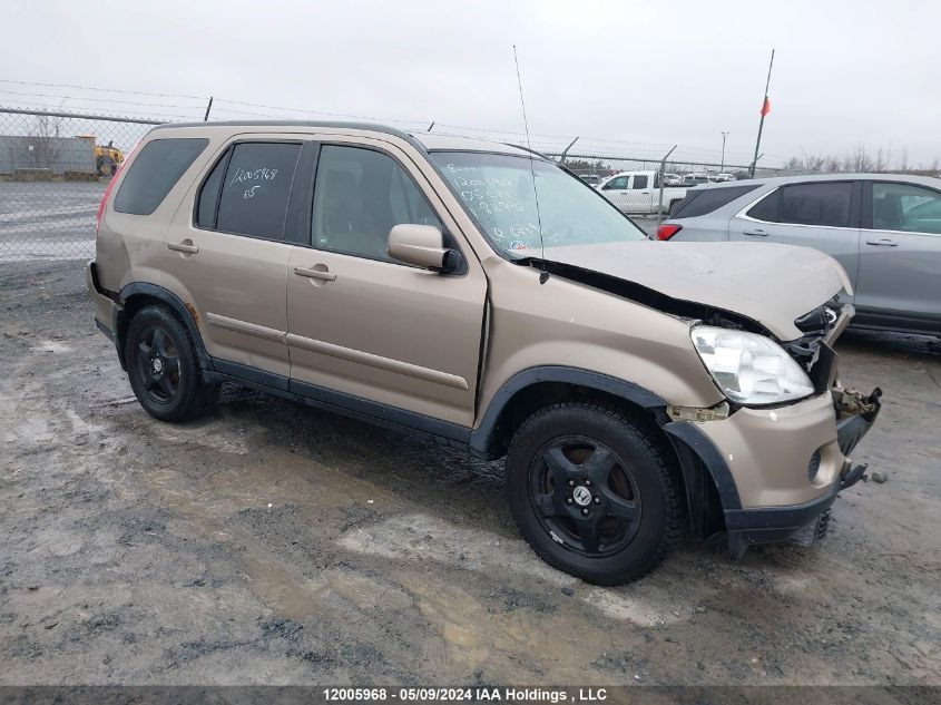 2005 Honda Cr-V VIN: JHLRD78995C811795 Lot: 12005968