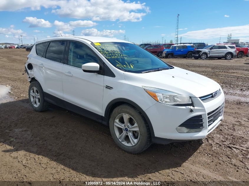 2014 Ford Escape Se VIN: 1FMCU9GX6EUB49968 Lot: 12005972