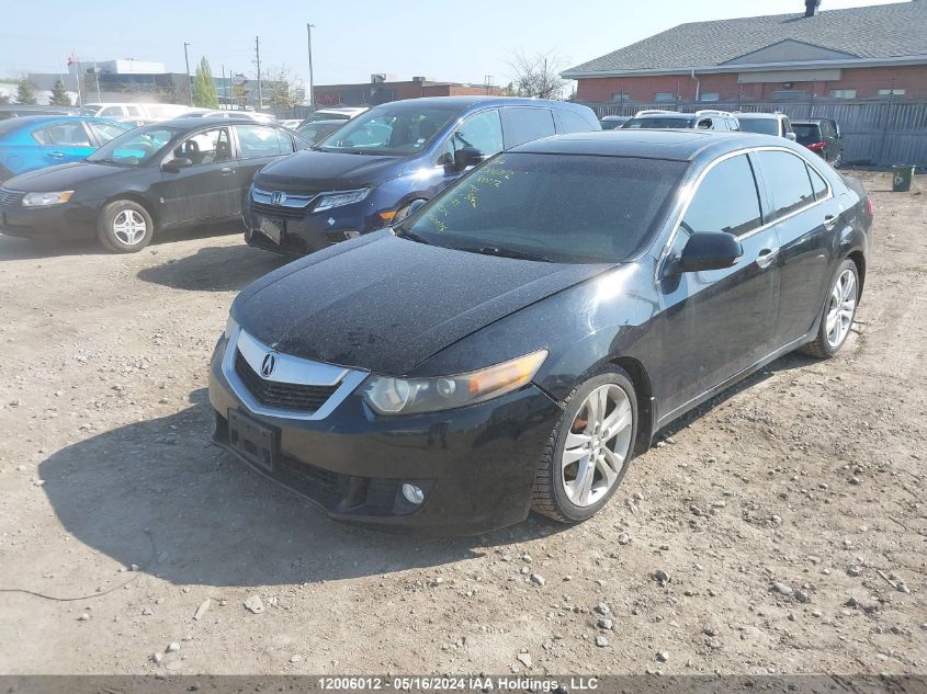 2010 Acura Tsx VIN: JH4CU4F66AC800272 Lot: 12006012