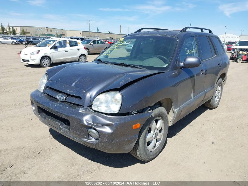 2006 Hyundai Santa Fe VIN: KM8SB73D96U106292 Lot: 12006202