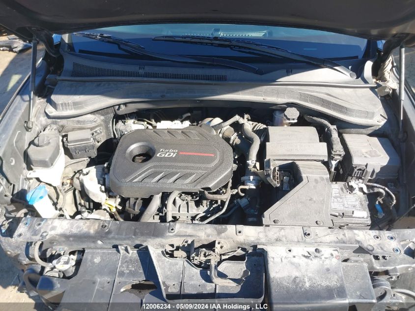 2020 Hyundai Santa Fe Sel/Sel Plus VIN: 5NMS3CAA7LH137305 Lot: 12006234