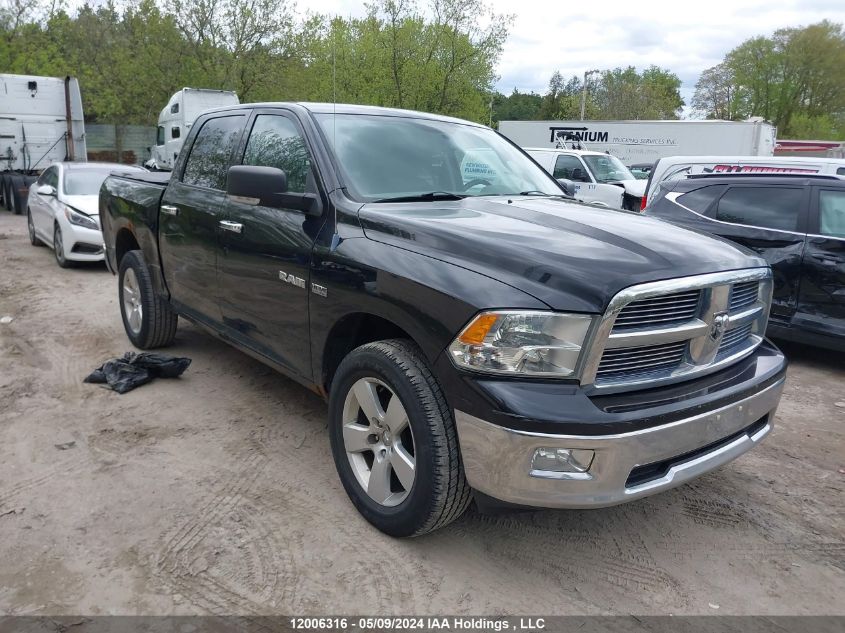 2010 Dodge Ram 1500 Slt/Sport/Trx VIN: 1D7RV1CT8AS233012 Lot: 12006316