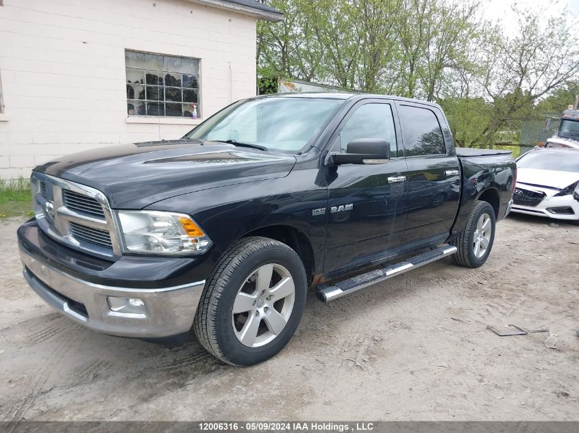 2010 Dodge Ram 1500 Slt/Sport/Trx VIN: 1D7RV1CT8AS233012 Lot: 12006316