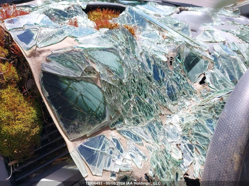 2009 Honda Civic Lx-S VIN: 2HGFA16629H101303 Lot: 12006493